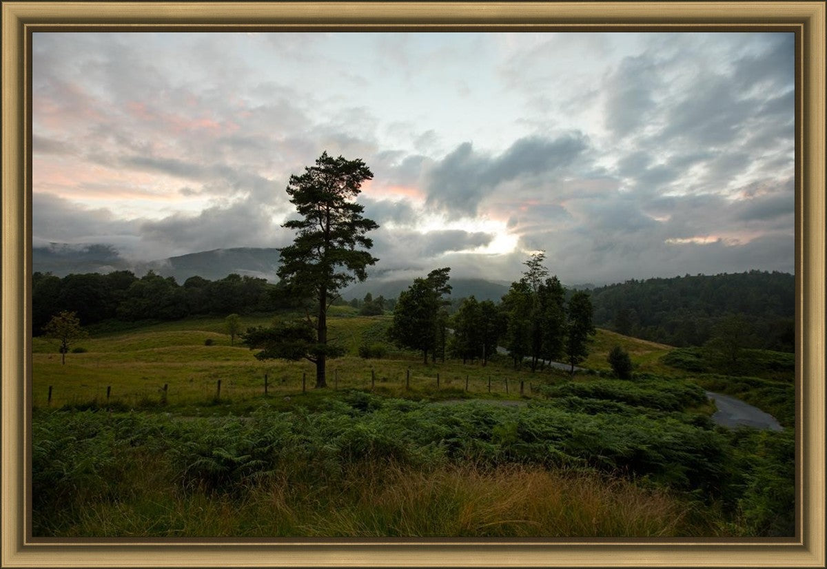 Plate 3 - Tarn Hows Above Ambleside