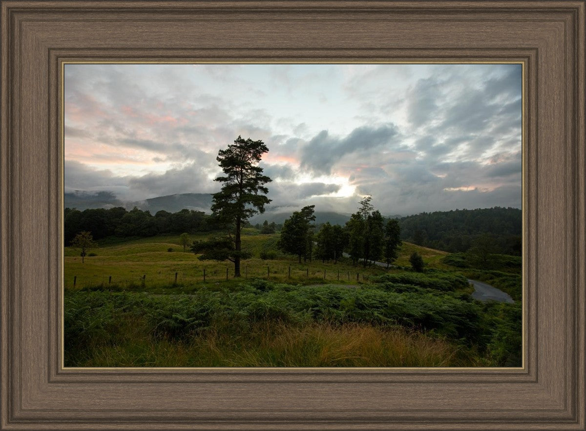 Plate 3 - Tarn Hows Above Ambleside