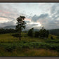Plate 3 - Tarn Hows Above Ambleside