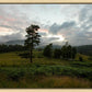 Plate 3 - Tarn Hows Above Ambleside