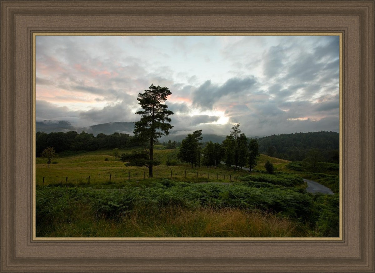 Plate 3 - Tarn Hows Above Ambleside