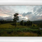 Plate 3 - Tarn Hows Above Ambleside