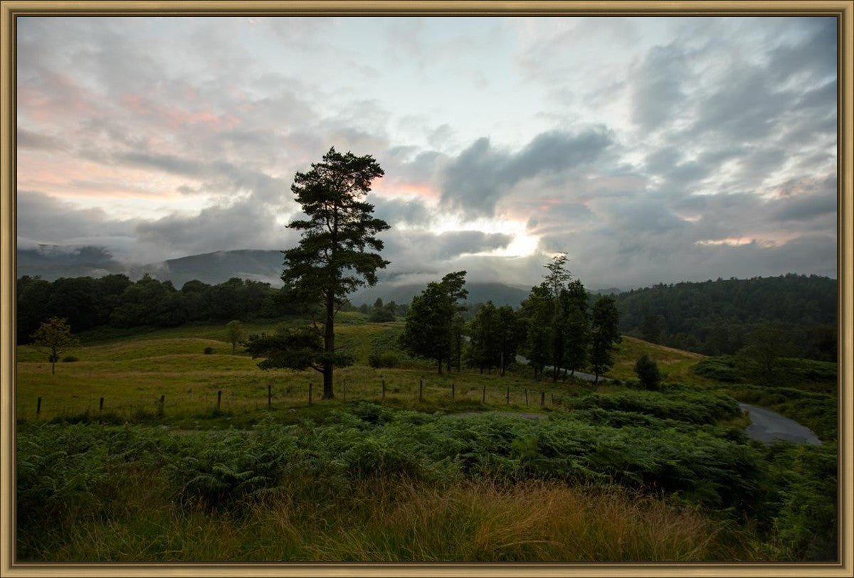 Plate 3 - Tarn Hows Above Ambleside
