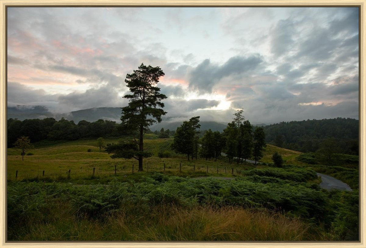 Plate 3 - Tarn Hows Above Ambleside