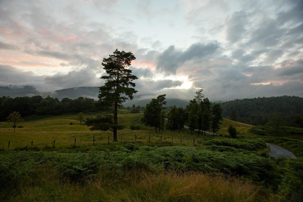 Plate 3 - Tarn Hows Above Ambleside