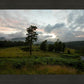 Plate 3 - Tarn Hows Above Ambleside