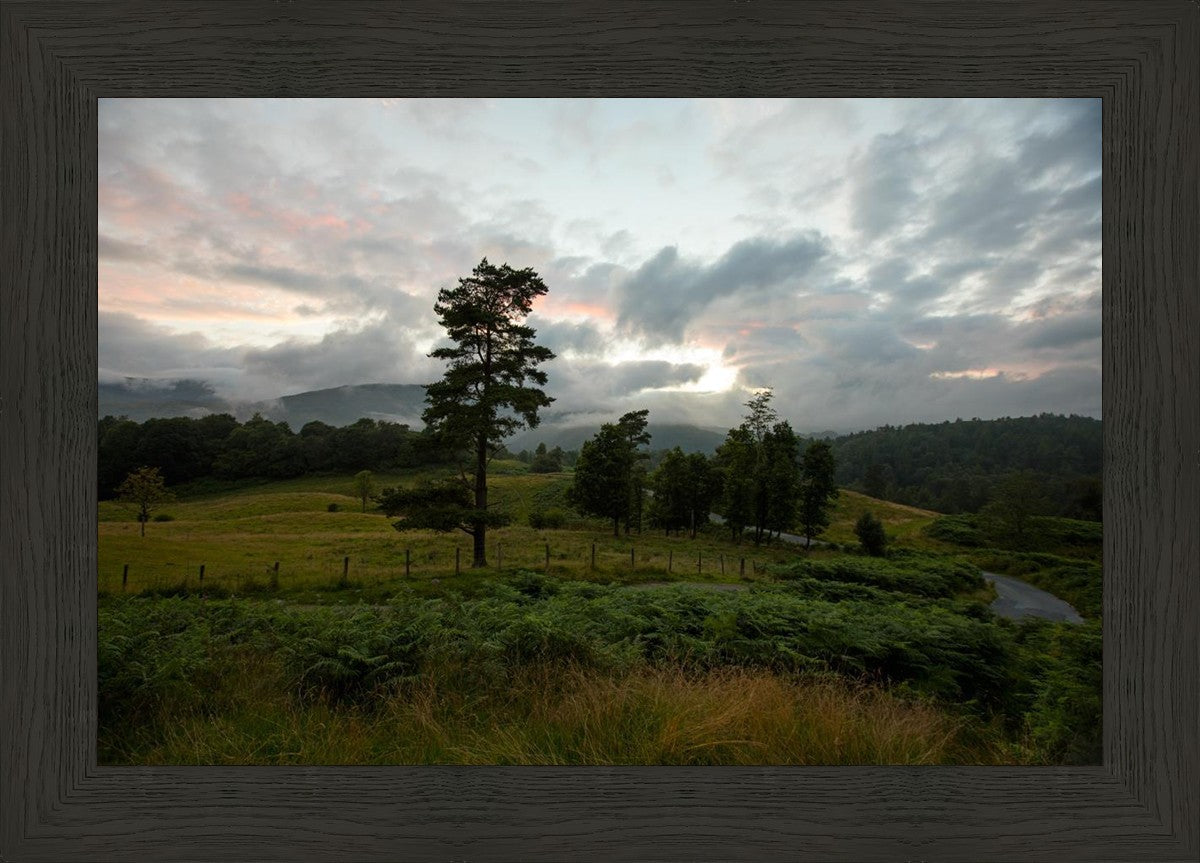 Plate 3 - Tarn Hows Above Ambleside