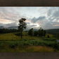 Plate 3 - Tarn Hows Above Ambleside