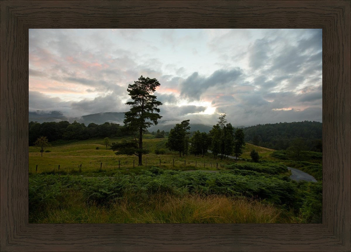 Plate 3 - Tarn Hows Above Ambleside