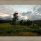 Plate 3 - Tarn Hows Above Ambleside