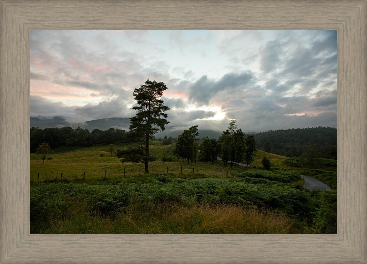 Plate 3 - Tarn Hows Above Ambleside