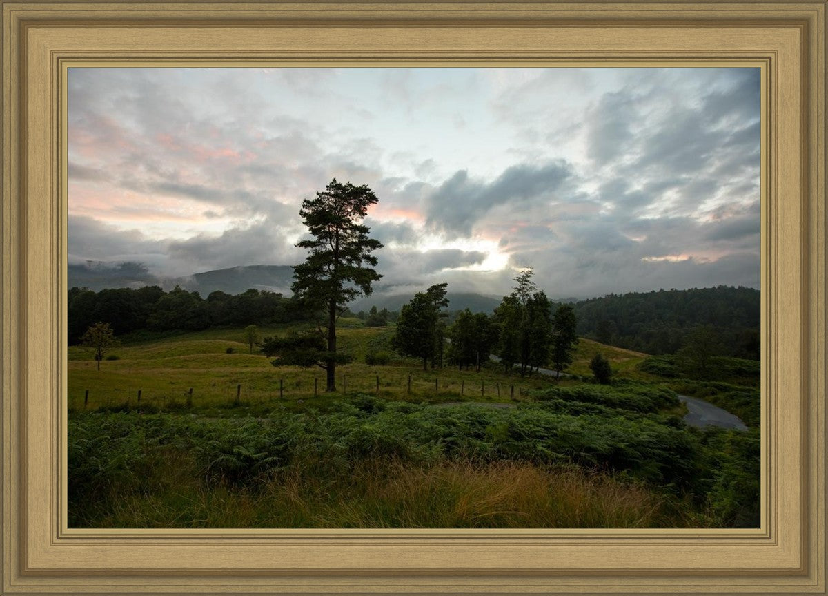 Plate 3 - Tarn Hows Above Ambleside