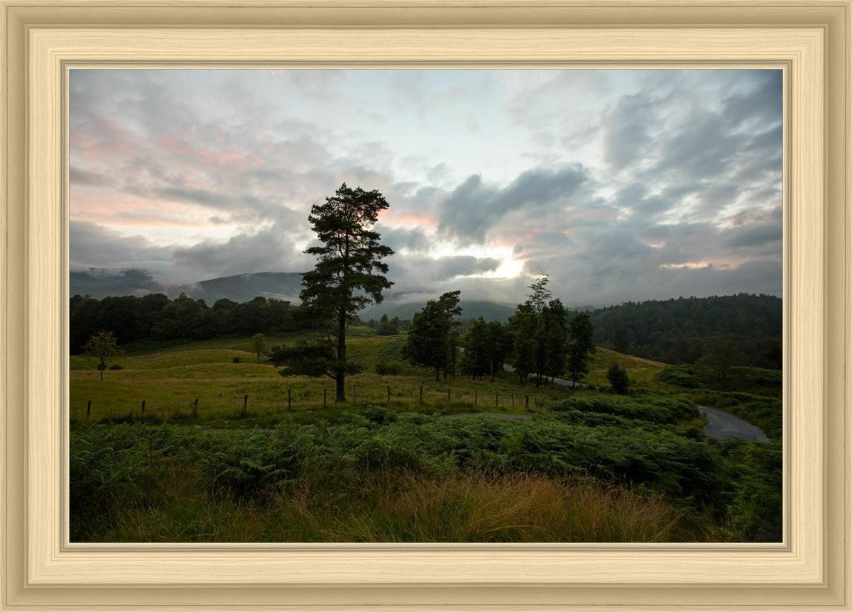Plate 3 - Tarn Hows Above Ambleside