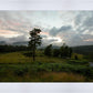 Plate 3 - Tarn Hows Above Ambleside