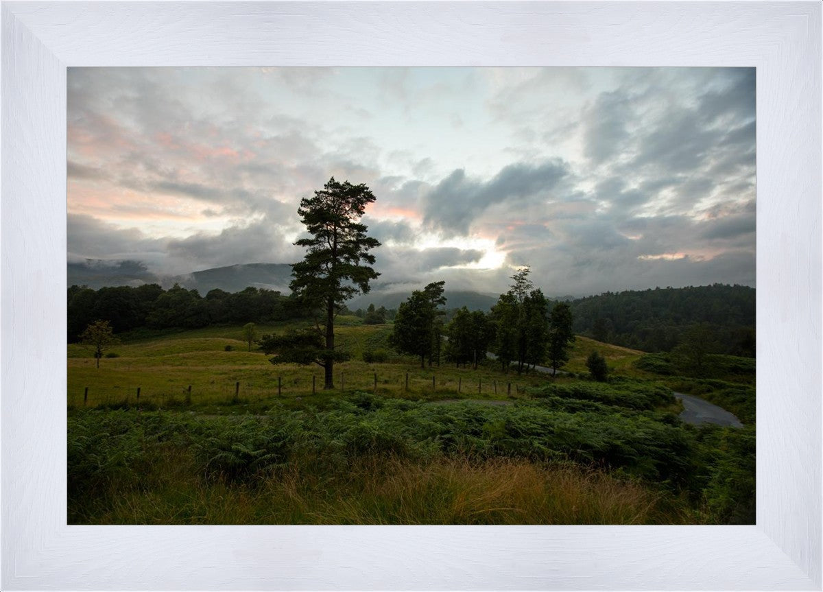 Plate 3 - Tarn Hows Above Ambleside