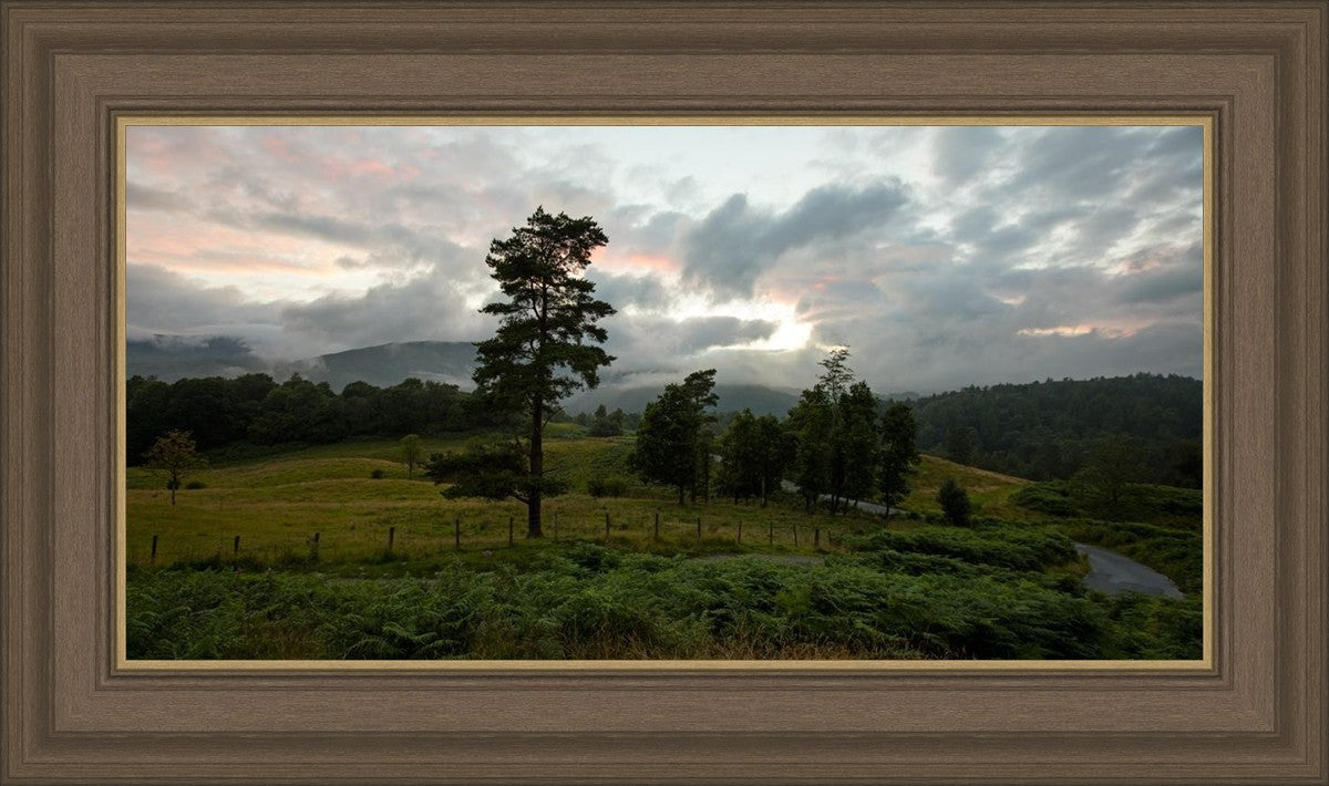 Plate 3 - Tarn Hows Above Ambleside
