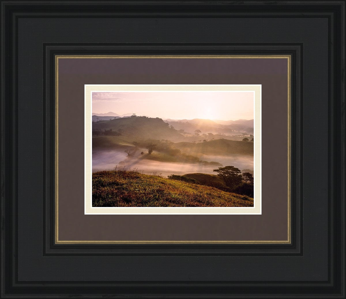 Plate 2 - Cumorah Battlefield Early Morning