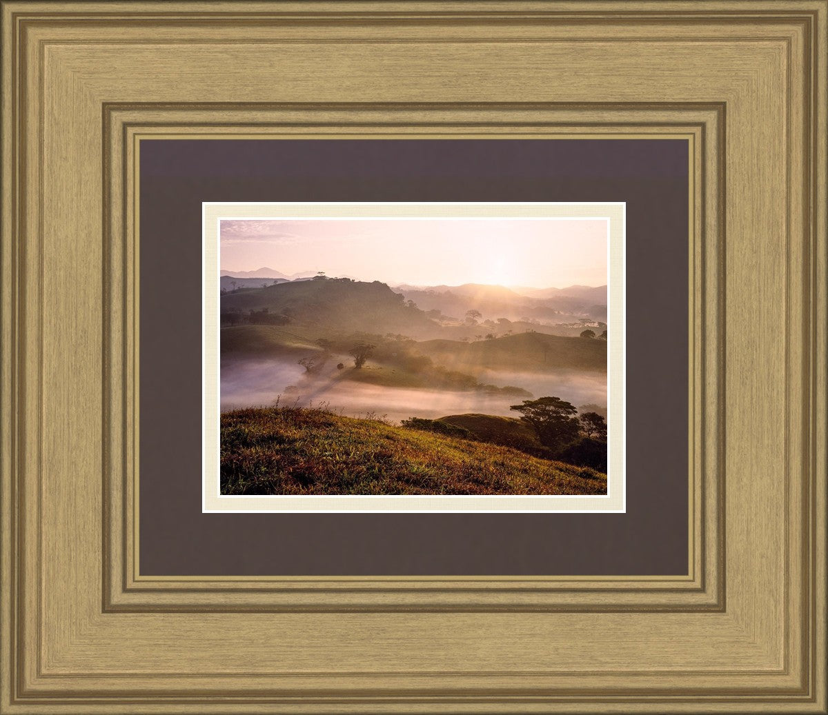 Plate 2 - Cumorah Battlefield Early Morning