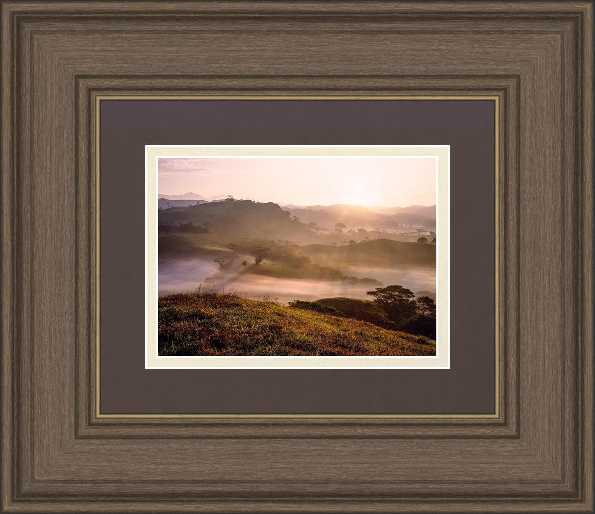 Plate 2 - Cumorah Battlefield Early Morning