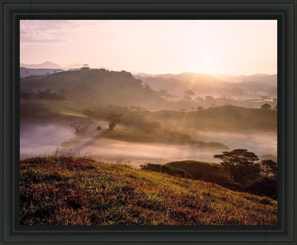 Plate 2 - Cumorah Battlefield Early Morning