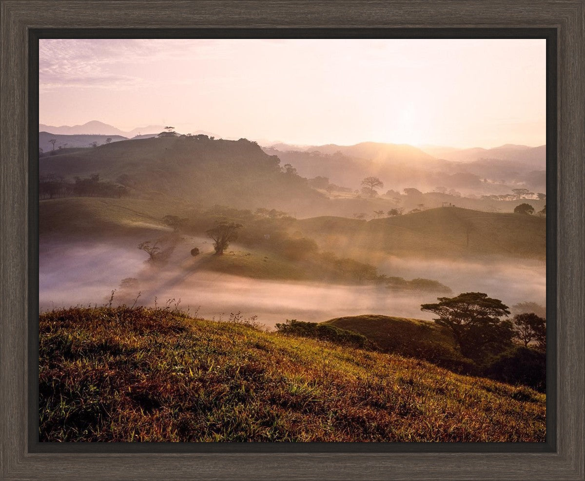 Plate 2 - Cumorah Battlefield Early Morning