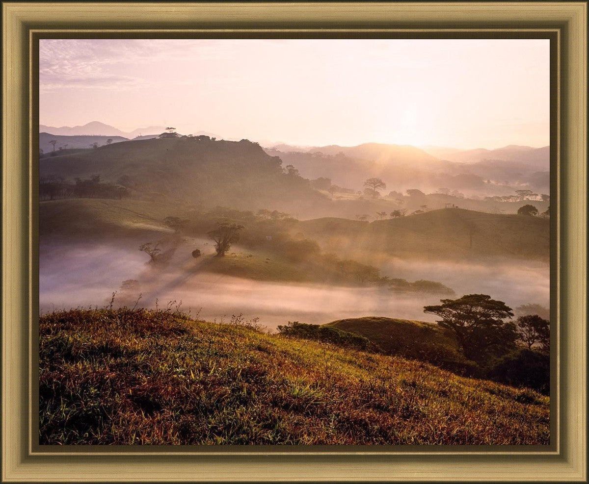 Plate 2 - Cumorah Battlefield Early Morning