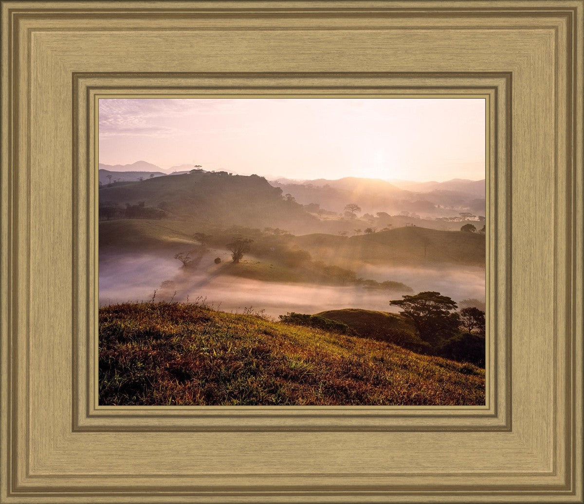 Plate 2 - Cumorah Battlefield Early Morning