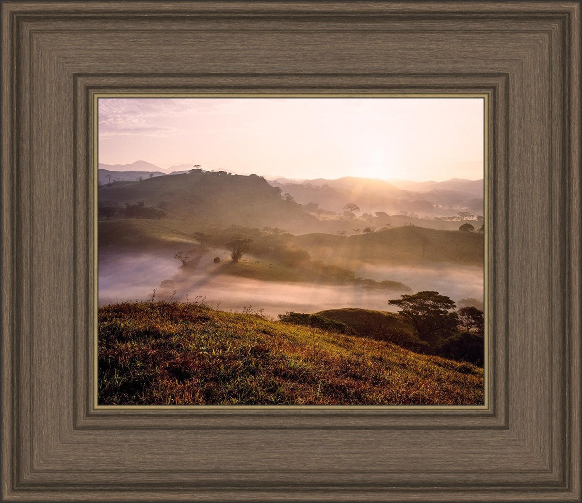 Plate 2 - Cumorah Battlefield Early Morning