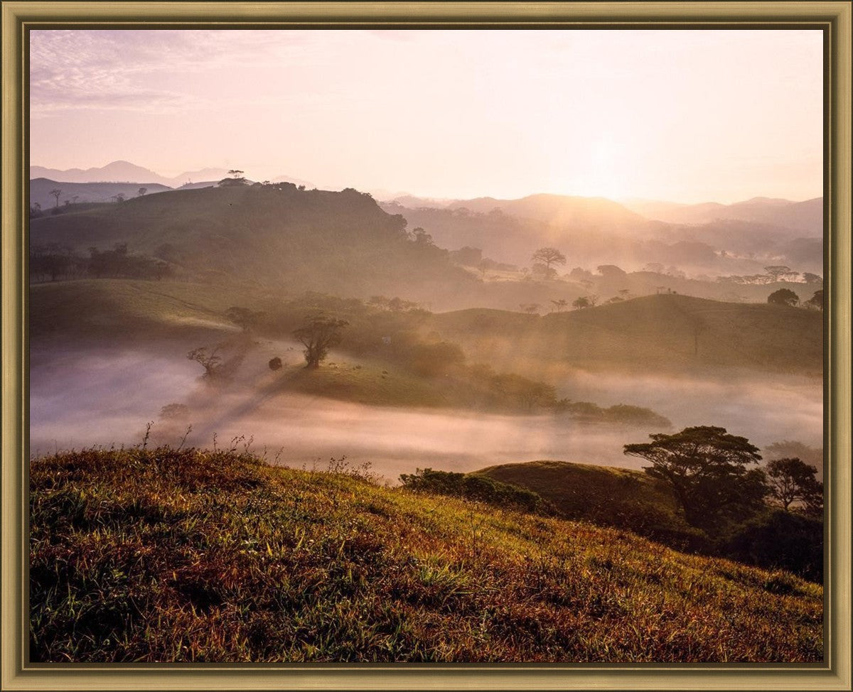Plate 2 - Cumorah Battlefield Early Morning