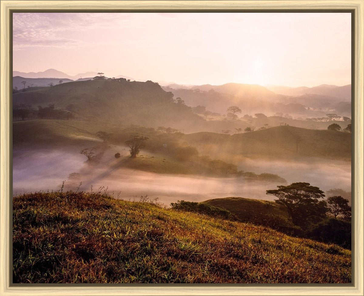 Plate 2 - Cumorah Battlefield Early Morning