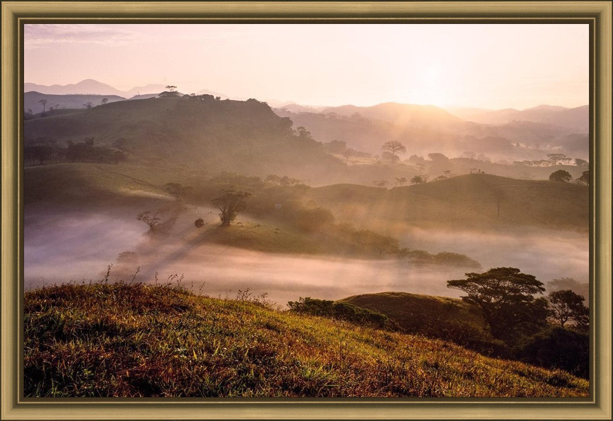 Plate 2 - Cumorah Battlefield Early Morning