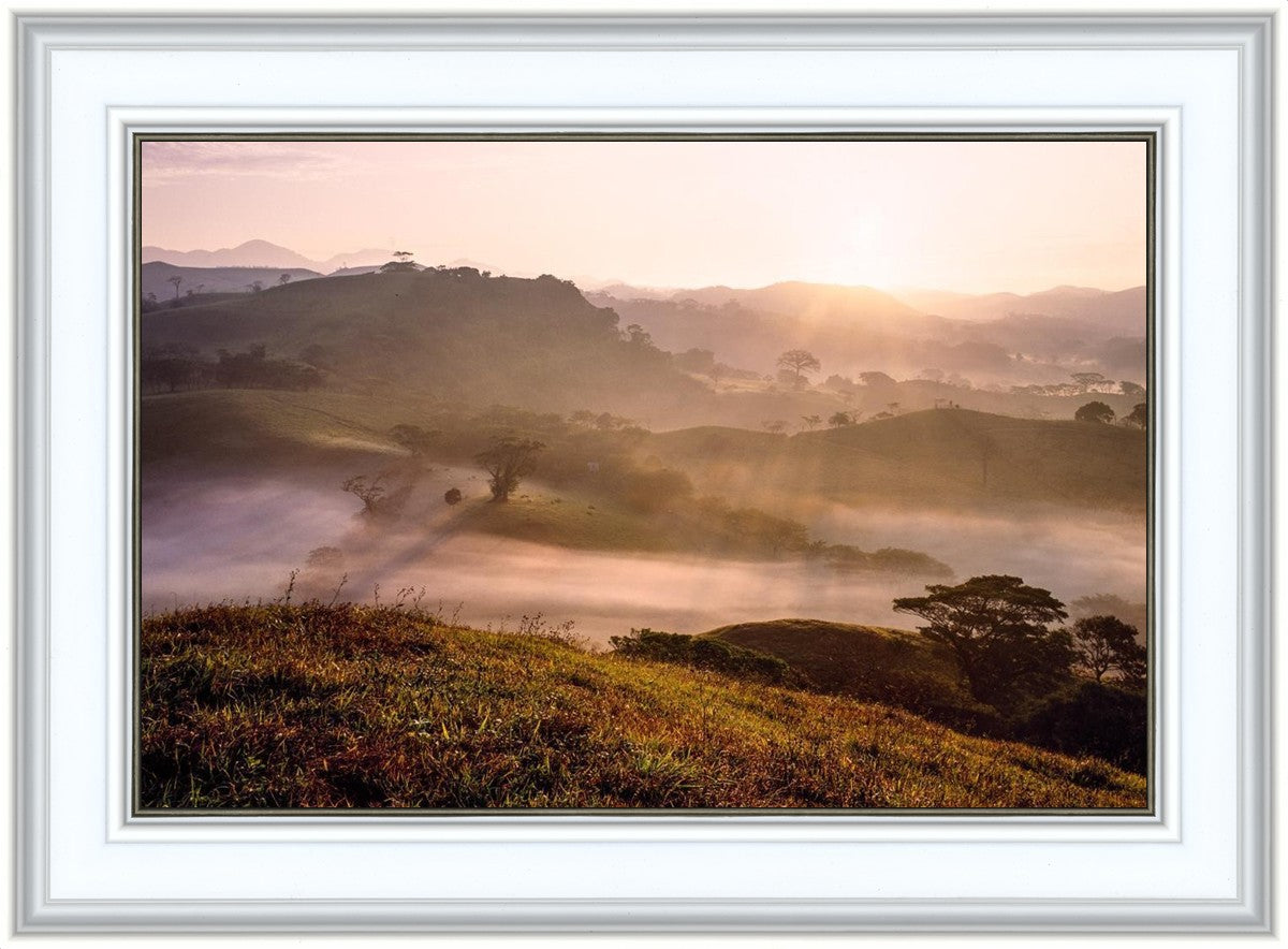 Plate 2 - Cumorah Battlefield Early Morning