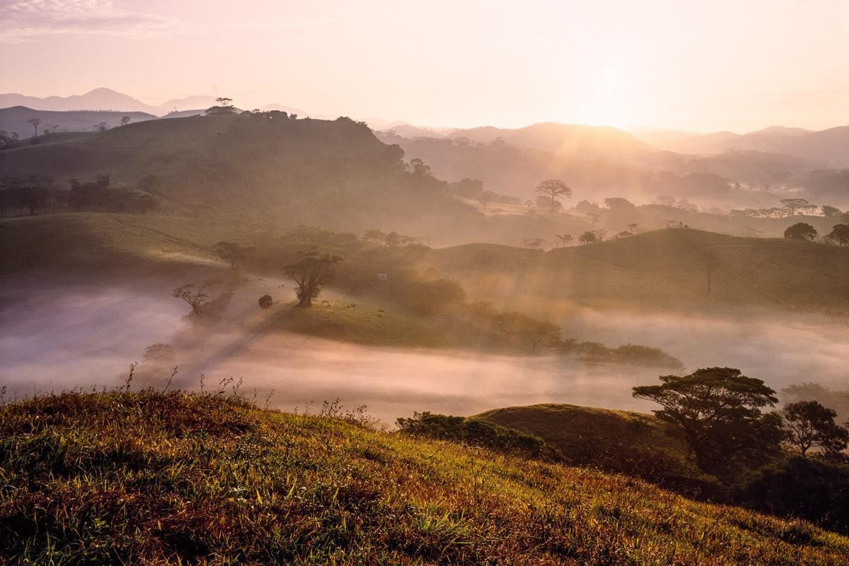 Plate 2 - Cumorah Battlefield Early Morning