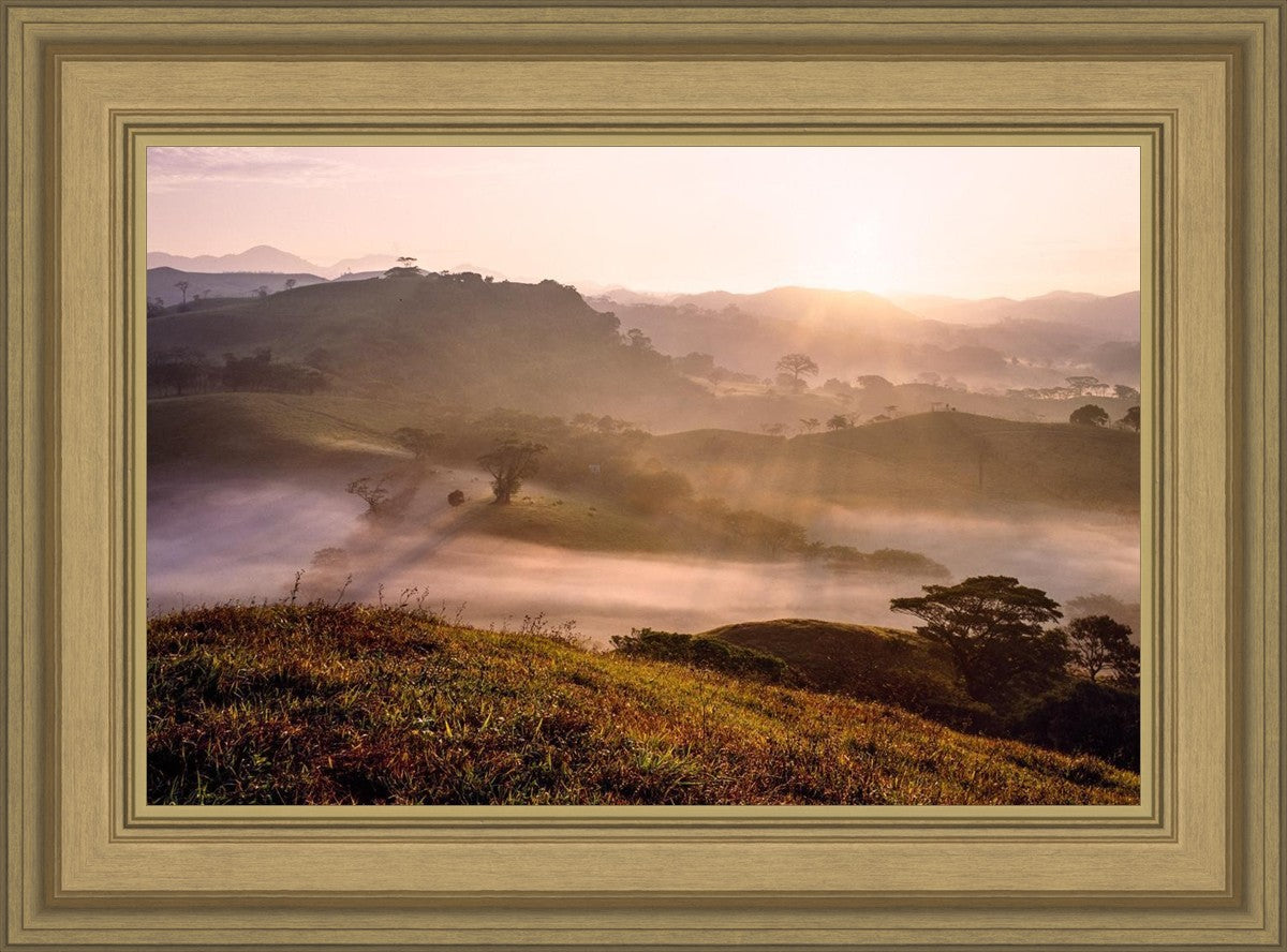 Plate 2 - Cumorah Battlefield Early Morning