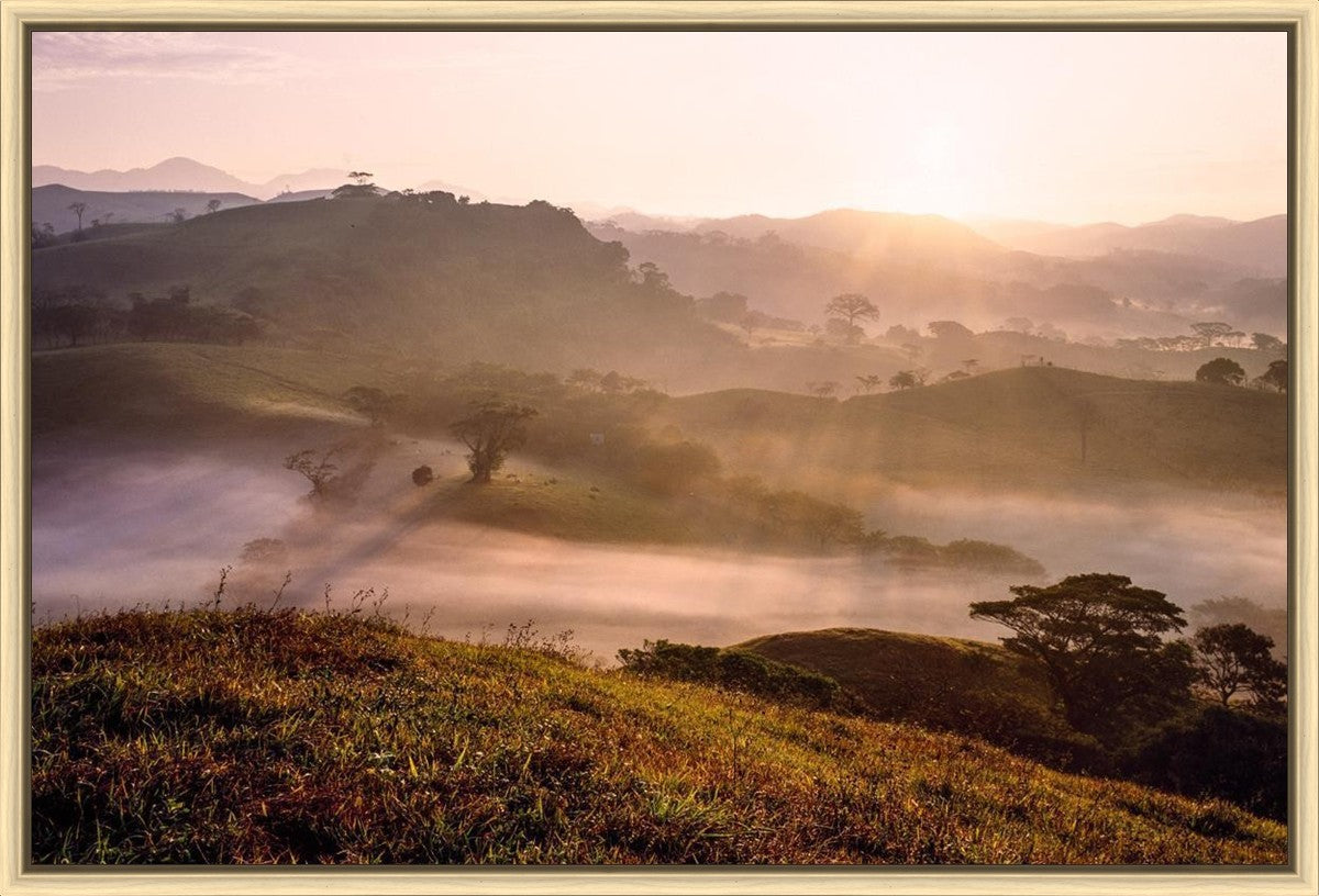 Plate 2 - Cumorah Battlefield Early Morning