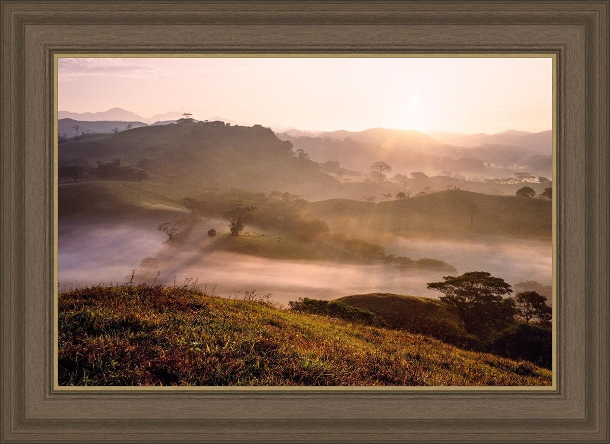 Plate 2 - Cumorah Battlefield Early Morning