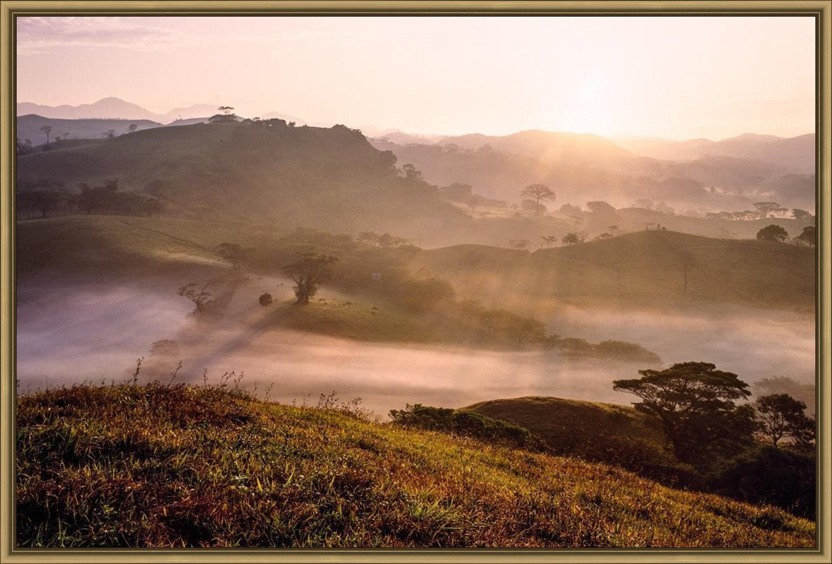 Plate 2 - Cumorah Battlefield Early Morning