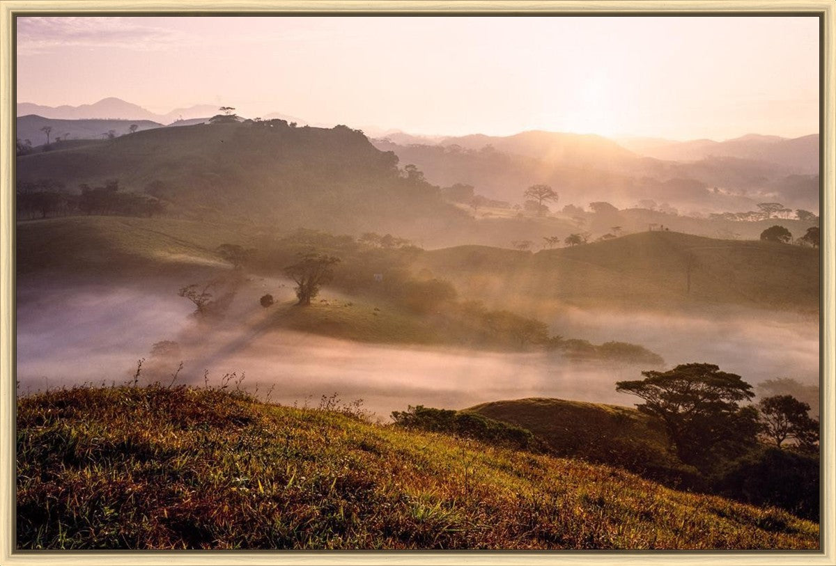 Plate 2 - Cumorah Battlefield Early Morning