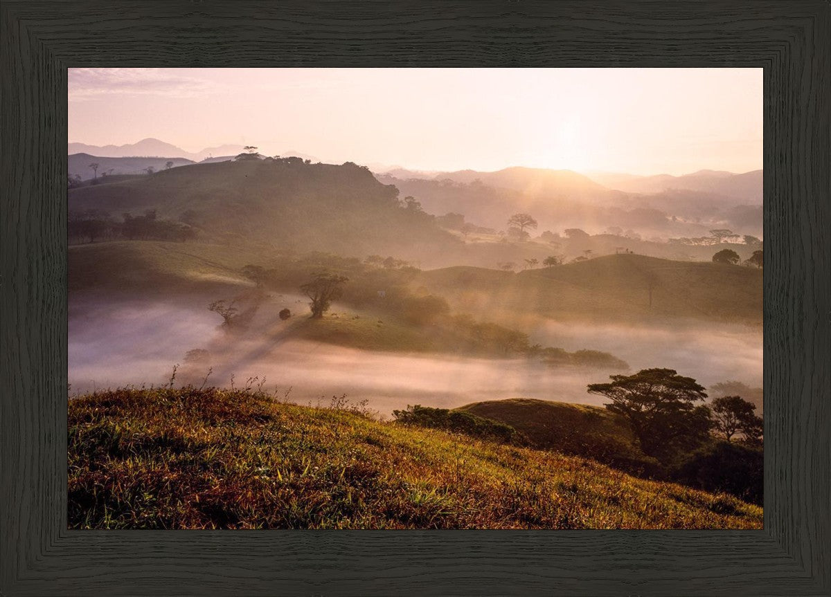 Plate 2 - Cumorah Battlefield Early Morning
