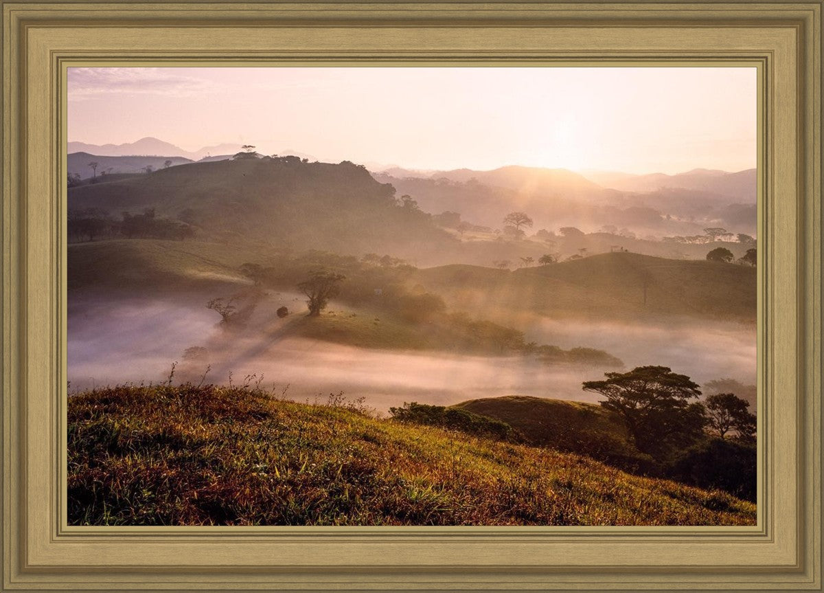 Plate 2 - Cumorah Battlefield Early Morning