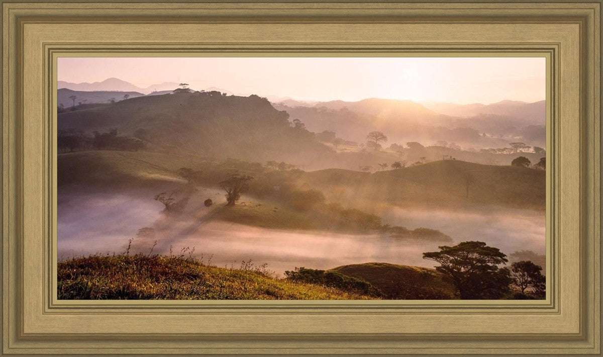 Plate 2 - Cumorah Battlefield Early Morning