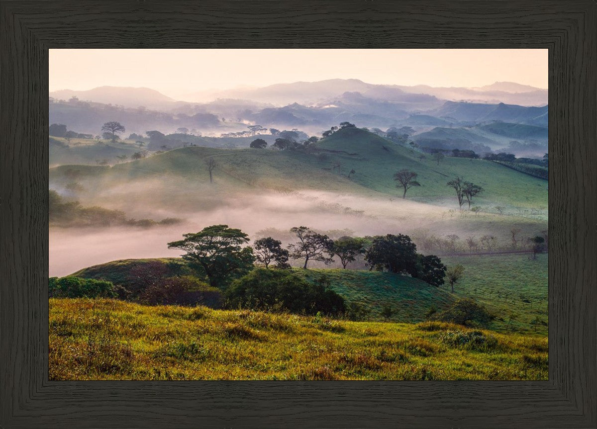 Plate 3 - Cumorah Battlefield Late Morning