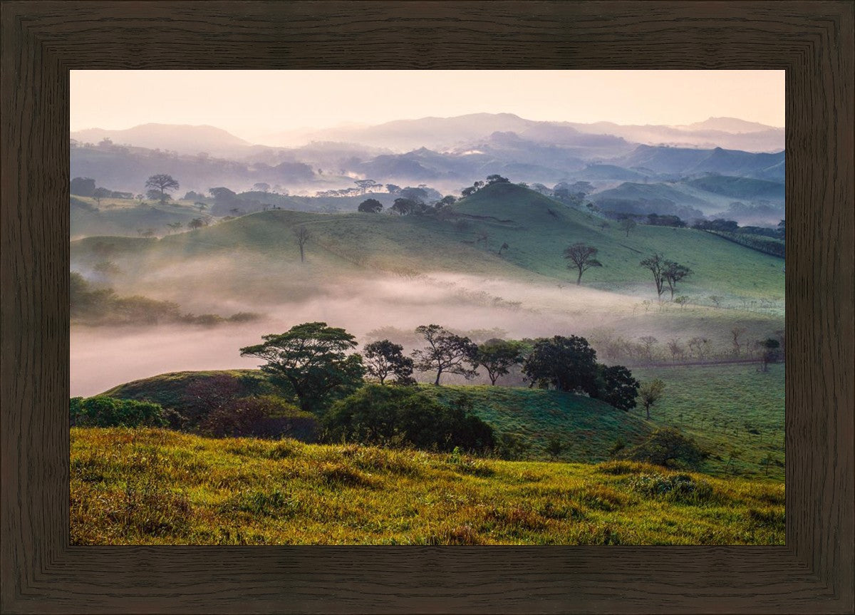 Plate 3 - Cumorah Battlefield Late Morning