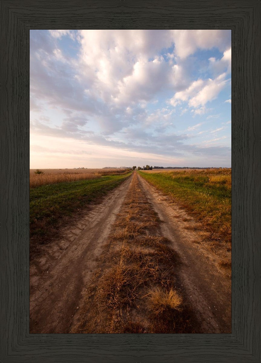 Plate 8 - Calm Before the Storm Vertical