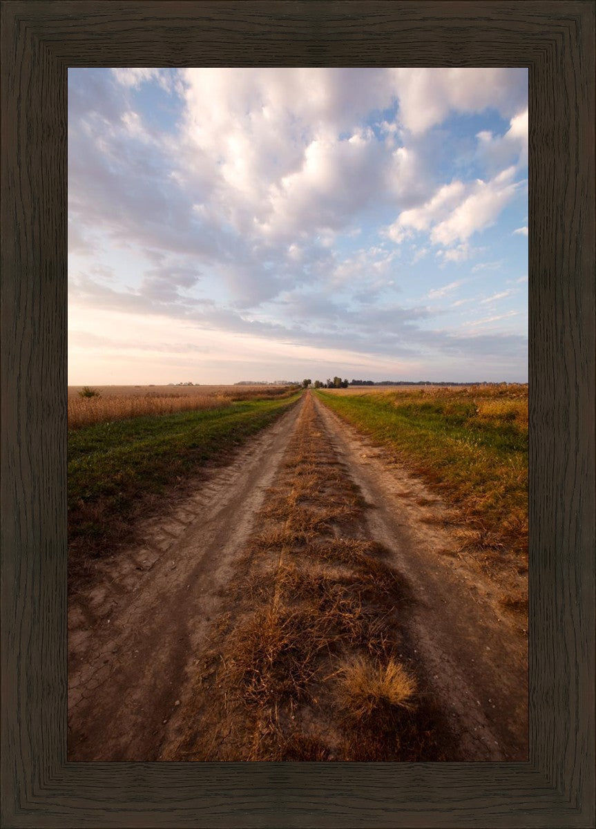 Plate 8 - Calm Before the Storm Vertical