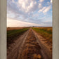 Plate 8 - Calm Before the Storm Vertical