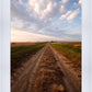 Plate 8 - Calm Before the Storm Vertical