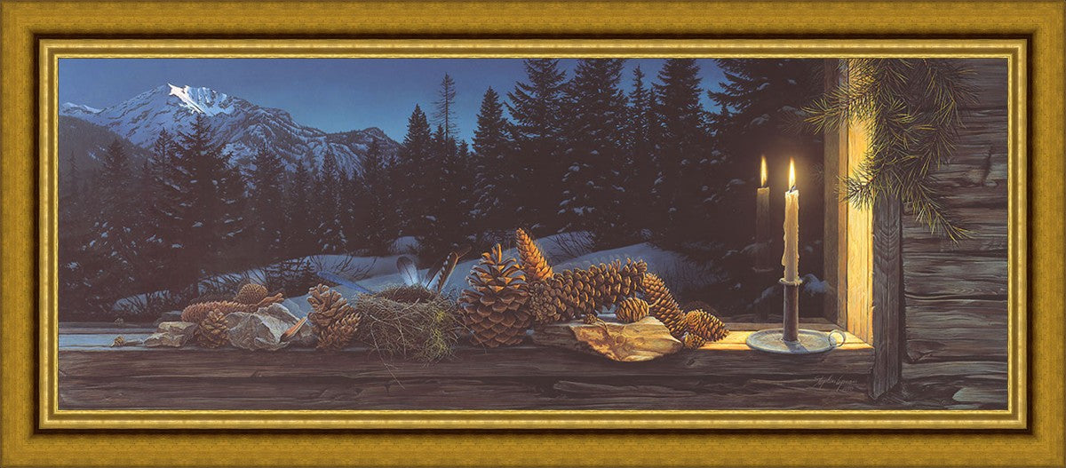 Evening Light
