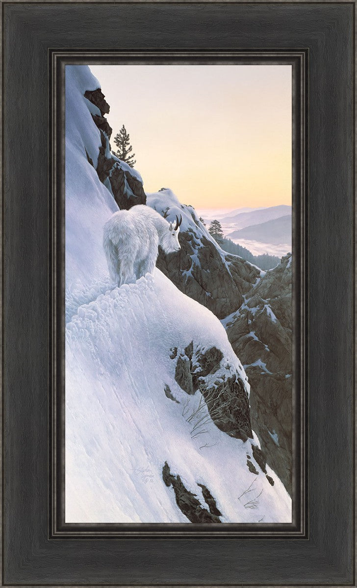 High Trail at Sunset