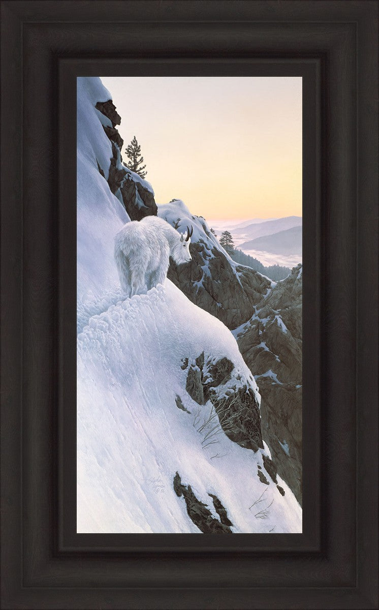 High Trail at Sunset